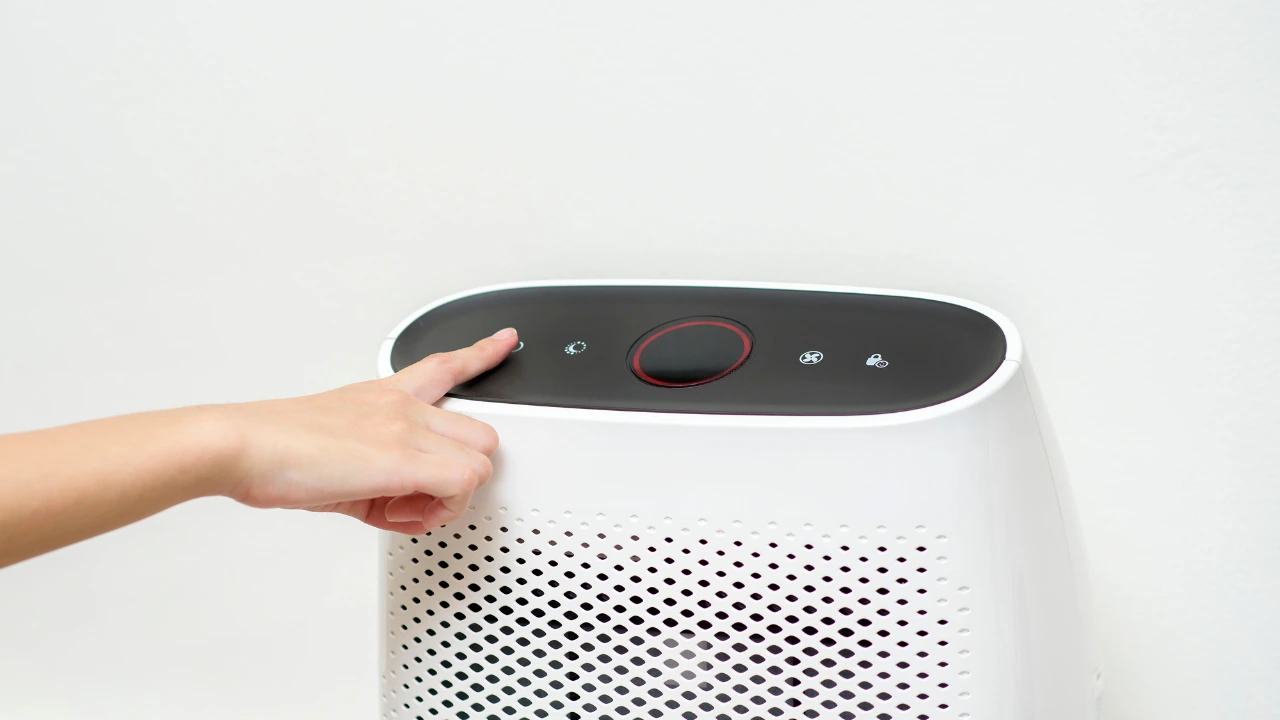 Are We Really in Need of Air Purifiers for a Healthy Environment?